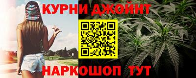 гидра Бердск