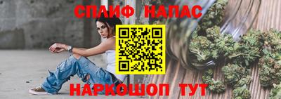 гидра Бердск