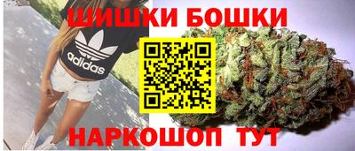 гидра Бердск