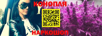 гидра Бердск