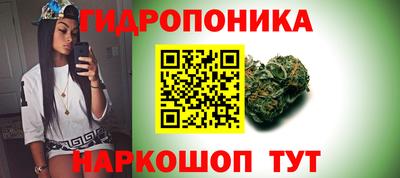 гидра Бердск