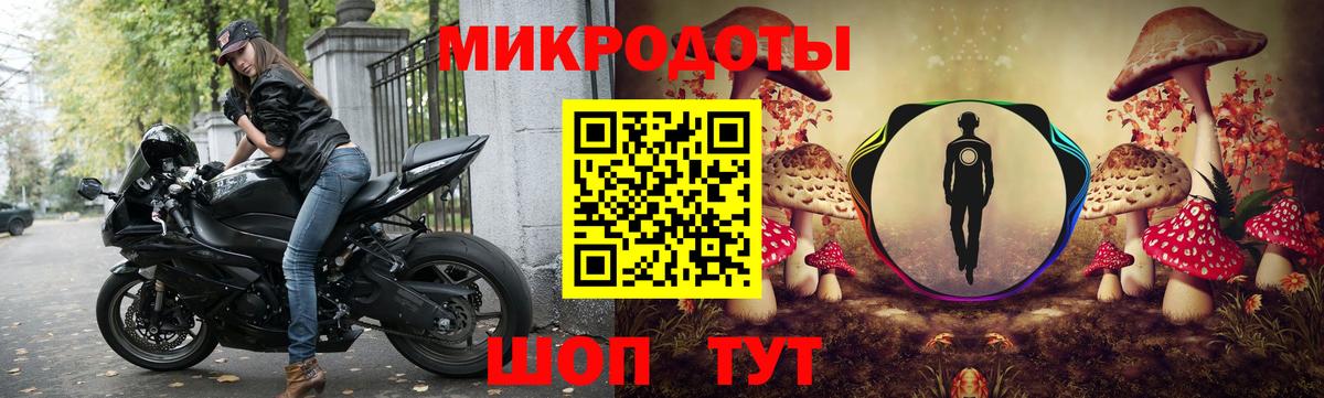 Галлюциногенные грибы мухоморы Большой Камень