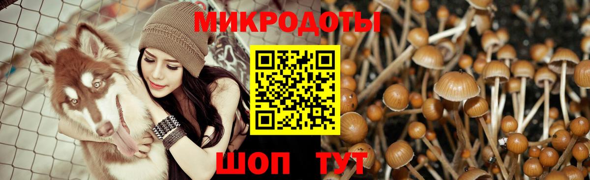 Псилоцибиновые грибы мухоморы  Вход с VPN  Псилоцибиновые грибы Magic Shrooms  Большой Камень 